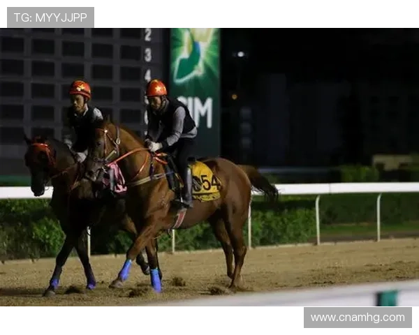 澳门赛马：参与多样化的博彩项目及丰富的赛事活动带来的多元娱乐享受